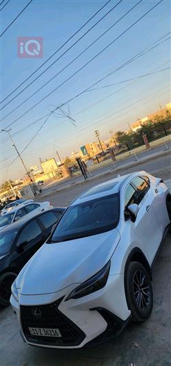 لێکزس NX